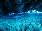 IMG_5730
