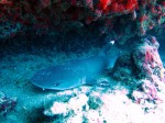IMG_6097