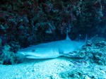 IMG_6205