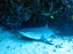 IMG_7477