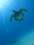 IMG_1156