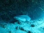 IMG_9774