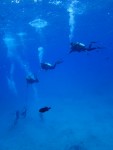 IMG_8520