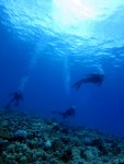 IMG_8543