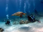 IMG_0802