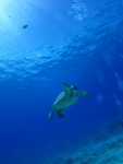 IMG_8630