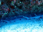 IMG_8775