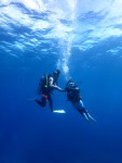 IMG_2235