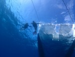 IMG_3277