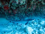 IMG_3400