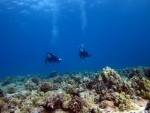 img_4641
