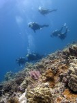 IMG_0245