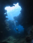 大聖堂・ノースショアの水中洞窟ダイビング