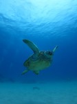 IMG_1662