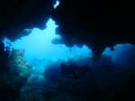 IMG_2447