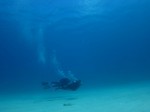 IMG_2876