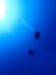 IMG_4508