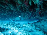 IMG_4570