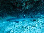 IMG_6809