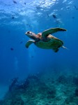 IMG_6856