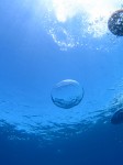 IMG_7078
