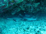 IMG_7165