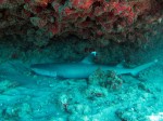 IMG_7260