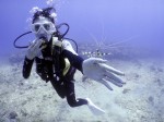 ハワイダイビング ハワイダイビング