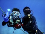 ハワイダイビング ハワイダイビング